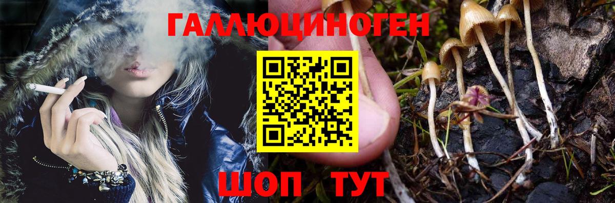 Таганрог  Галлюциногенные грибы MAGIC MUSHROOMS  закладка  Вход с VPN 